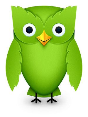 2012 Duolingo Owl  meme template