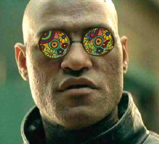Acid kicks in Morpheus  meme template