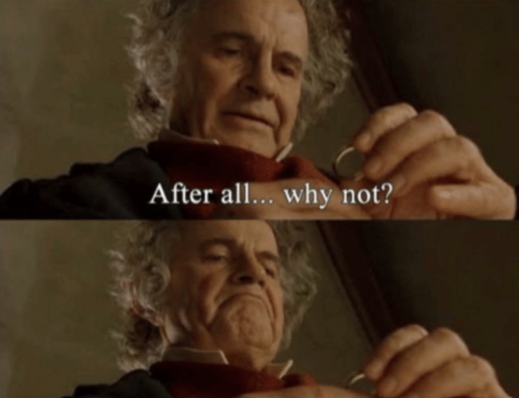 After all.. why not? meme template