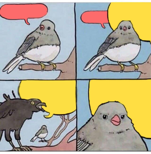annoyed bird meme template