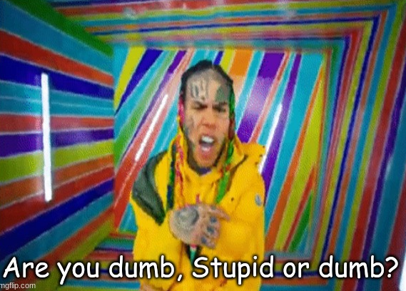 Are you dumb stupid or dumb?  meme template