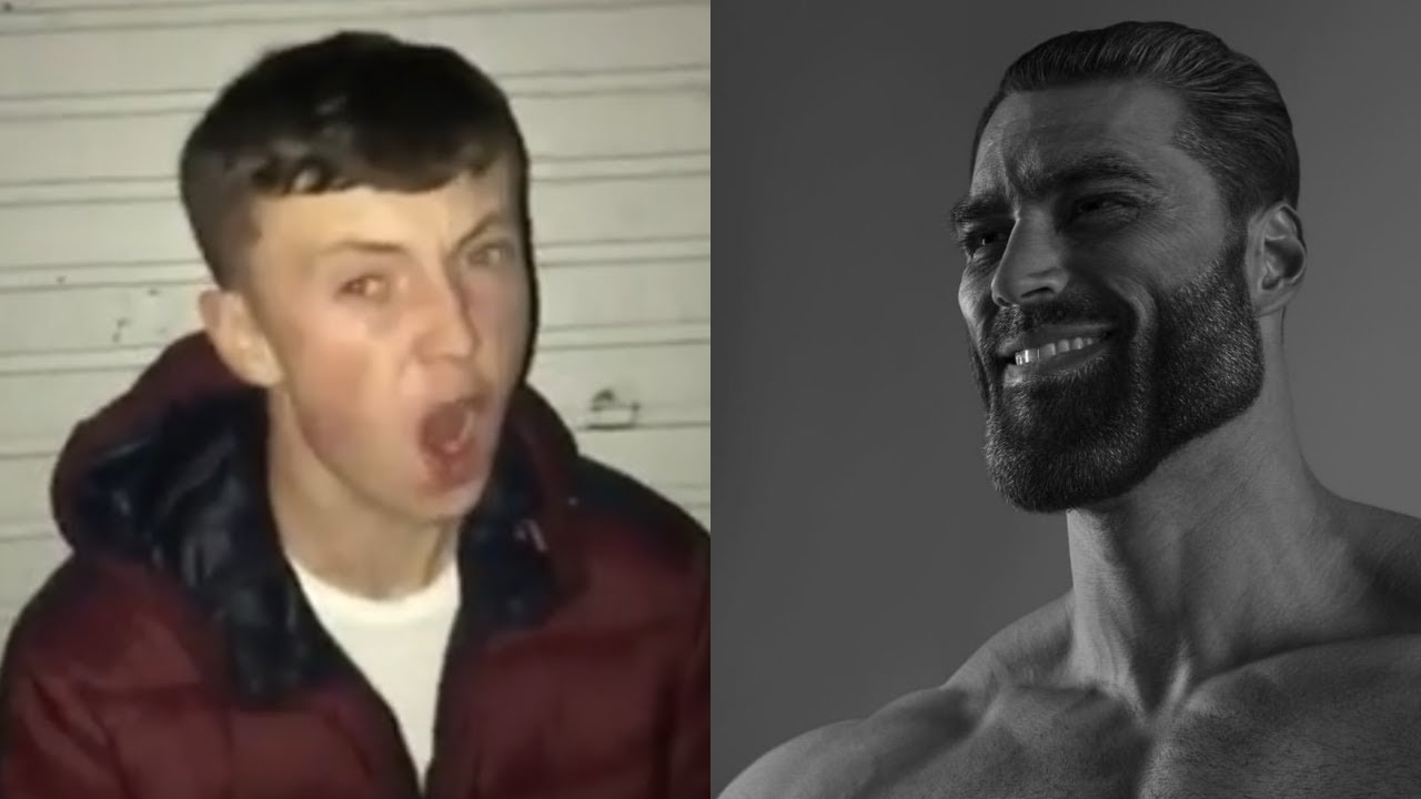 average fan vs average enjoyer  meme template