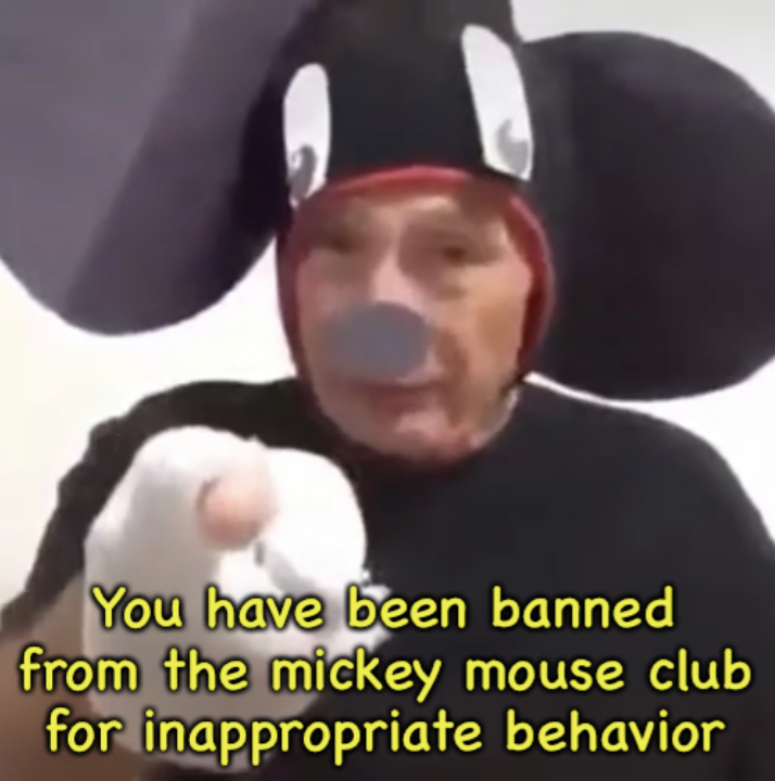 Banned From The Mickey Mouse Club  meme template