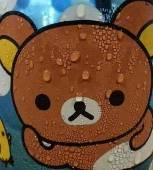 Bear sweating nervously  meme template
