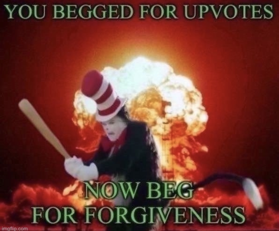 Beg for forgiveness  meme template