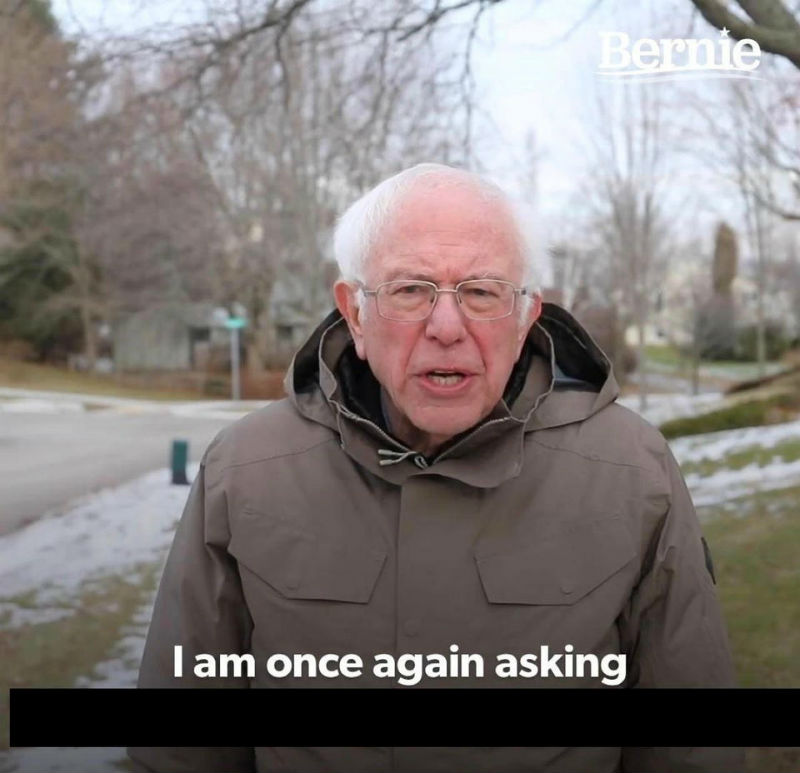 Bernie  meme template