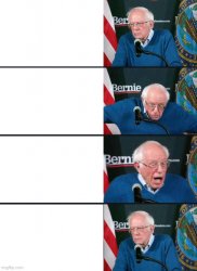 bernie sanders disappointed  meme template