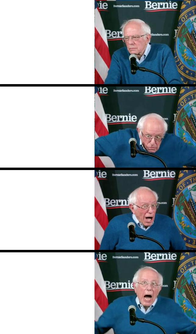 Bernie Sanders reaction  meme template