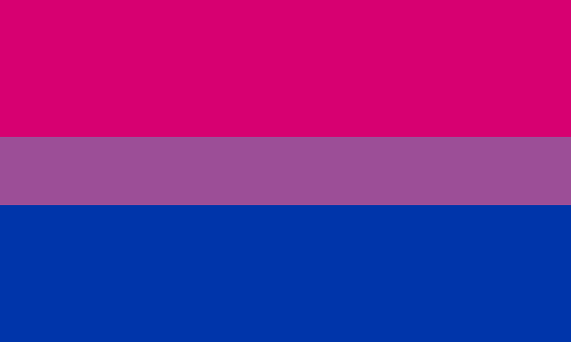 Bi flag  meme template