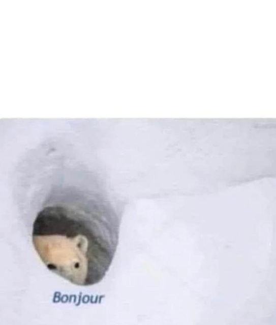 Bonjour meme template