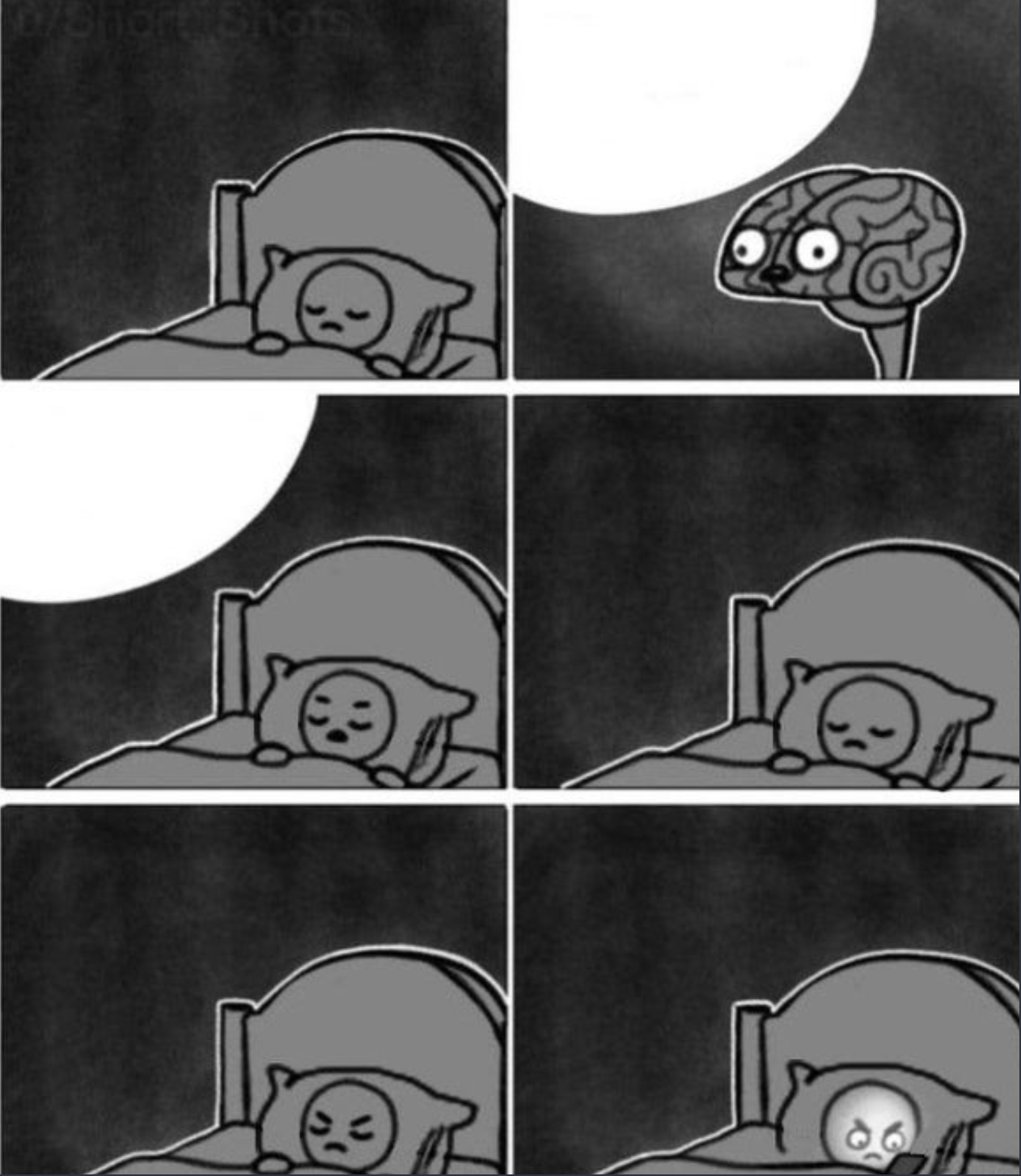 brain sleep phone  meme template