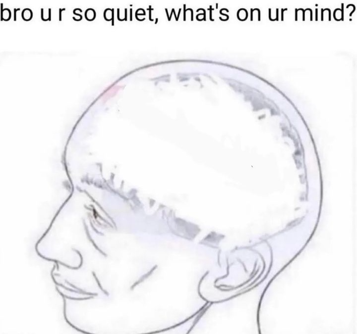 Bro you're so quiet  meme template