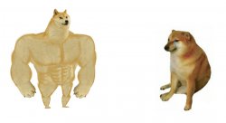 Buff Doge vs Crying Cheems meme template
