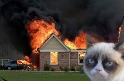 Burn Kitty meme template