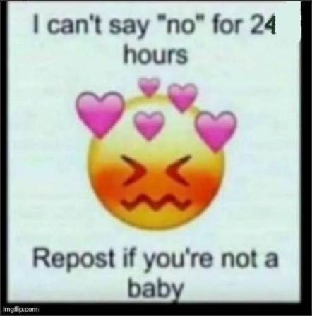 cant say no  meme template
