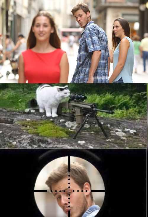 Cat Snipes Distracted Boyfriend  meme template