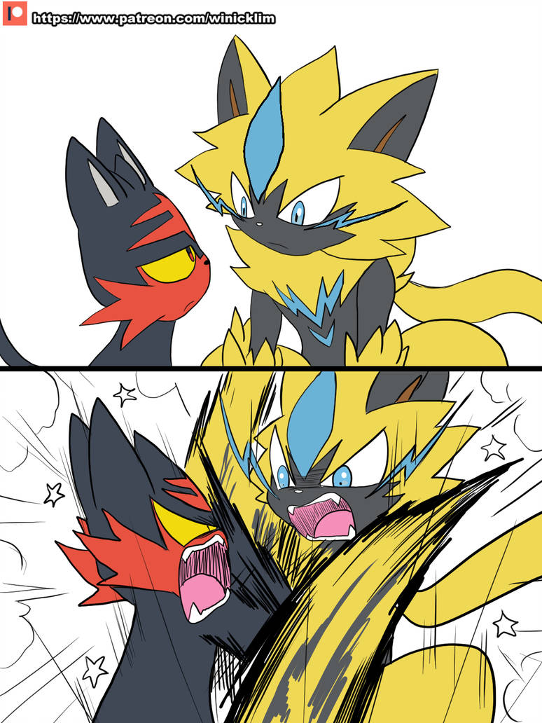Catfight On Sight  meme template