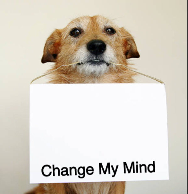Change My Mind Dog  meme template
