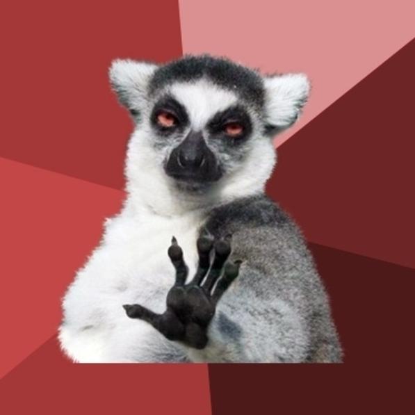Chill Out Lemur meme template