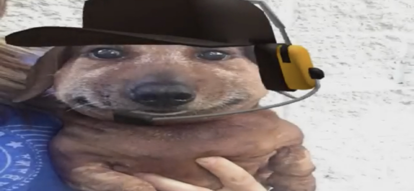 chucklenuts meme template