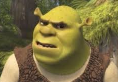 Confused shrek  meme template