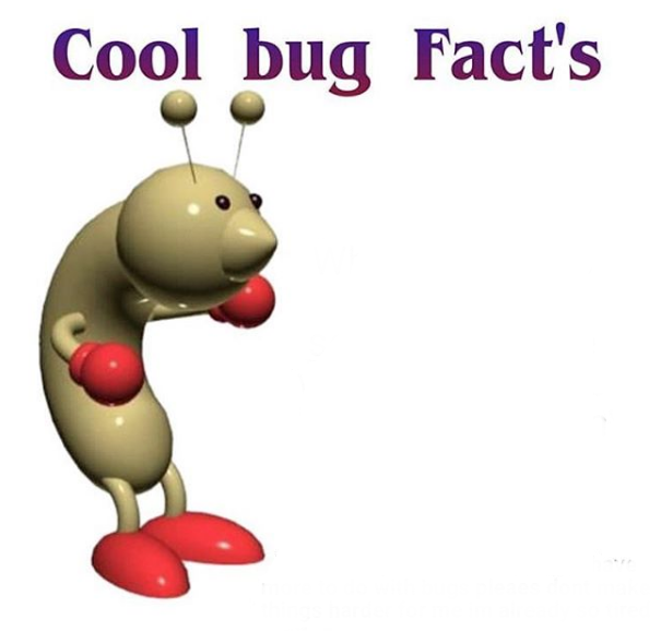 Cool Bug Facts meme template