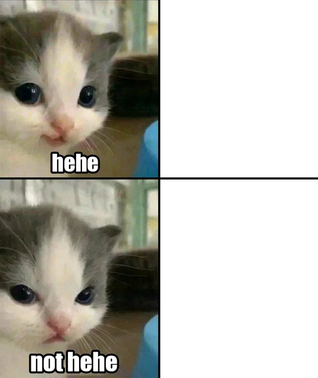 Cute cat hehe and not hehe  meme template
