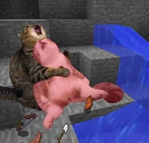 Dead minecraft cat meme  meme template