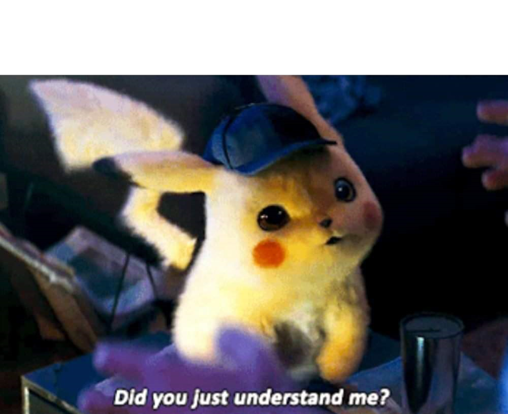 Did you just understand me?  meme template