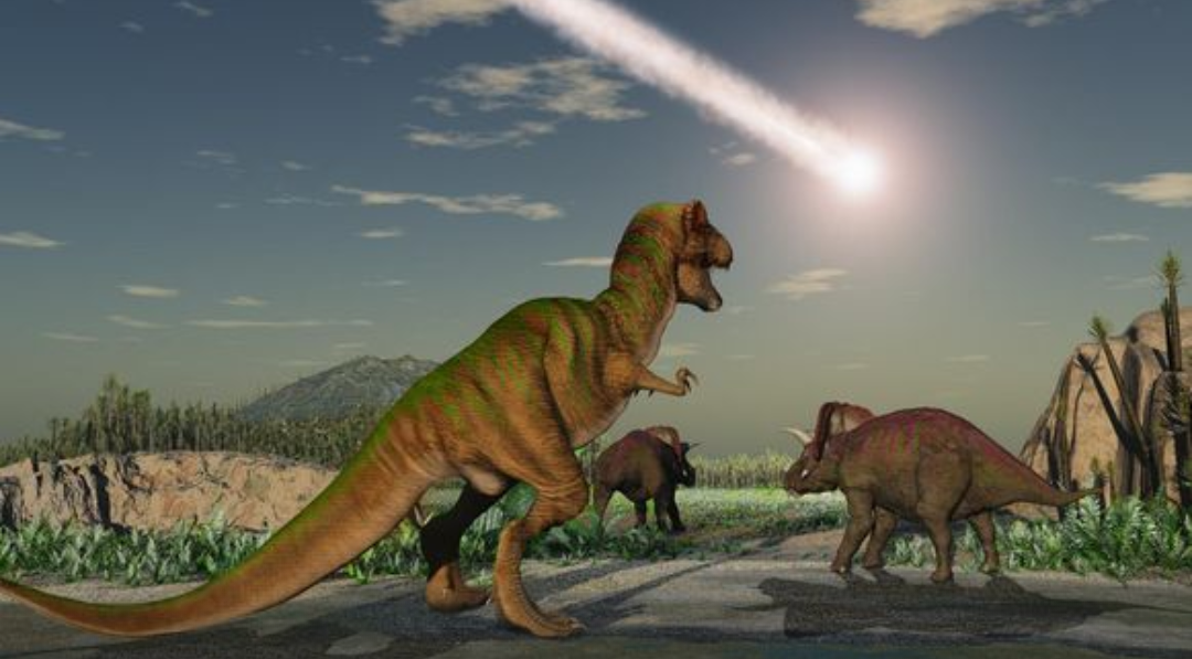Dinosaurs meteor  meme template