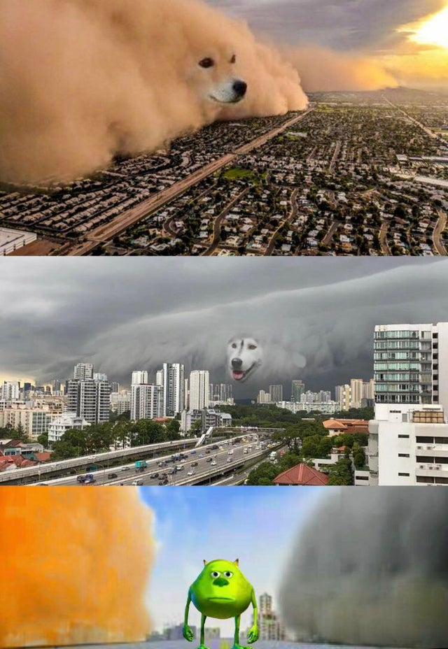 Dog Cloud Fight Stuck in Middle  meme template
