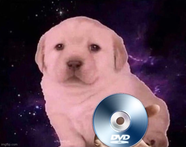 Dog Gives the DVD  meme template