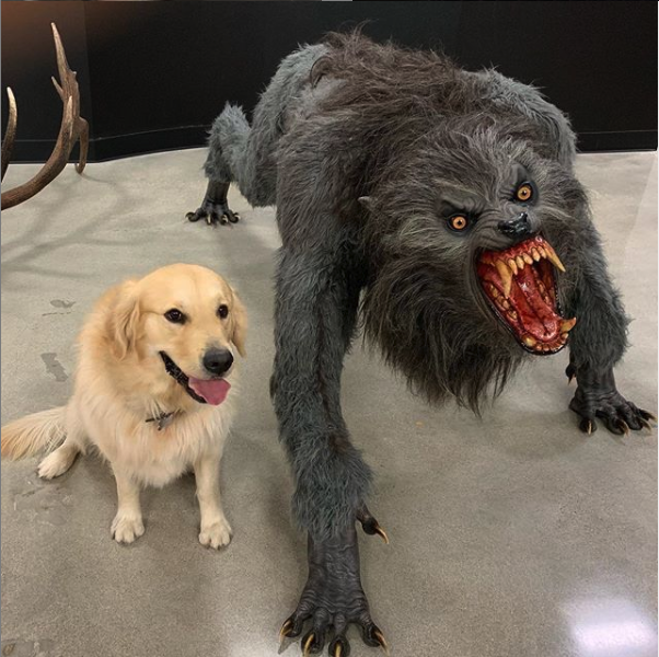 dog vs werewolf meme template