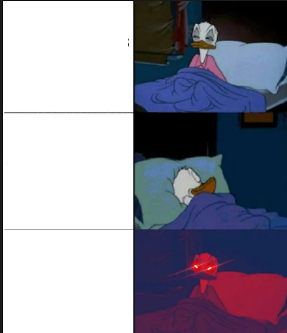 Donald Duck awake  meme template