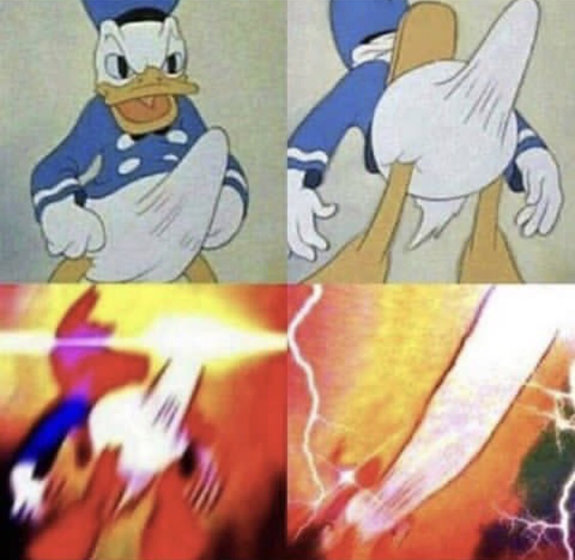 Donald Duck erection  meme template