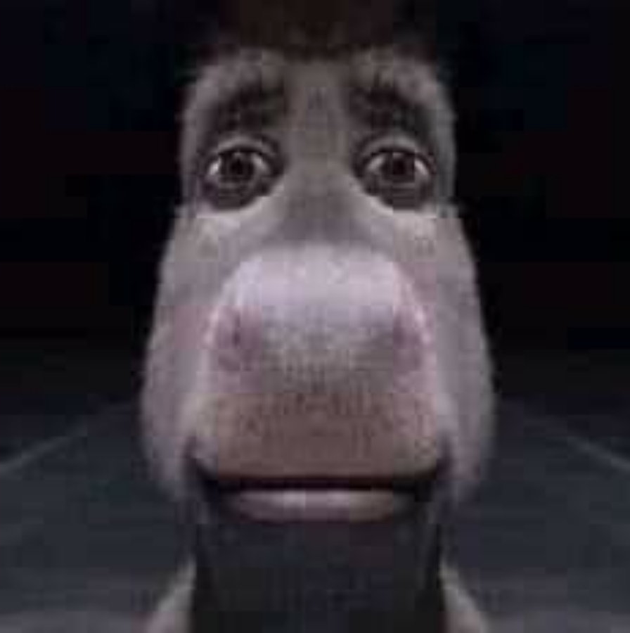 Donkey staring  meme template