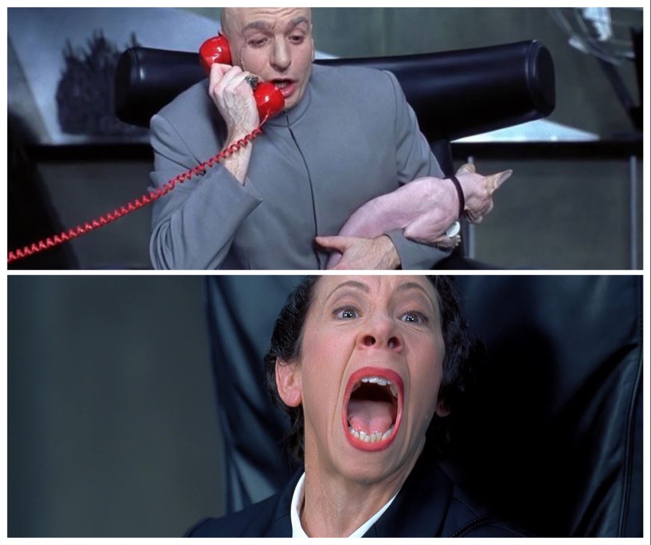 Dr Evil and Frau Yelling  meme template