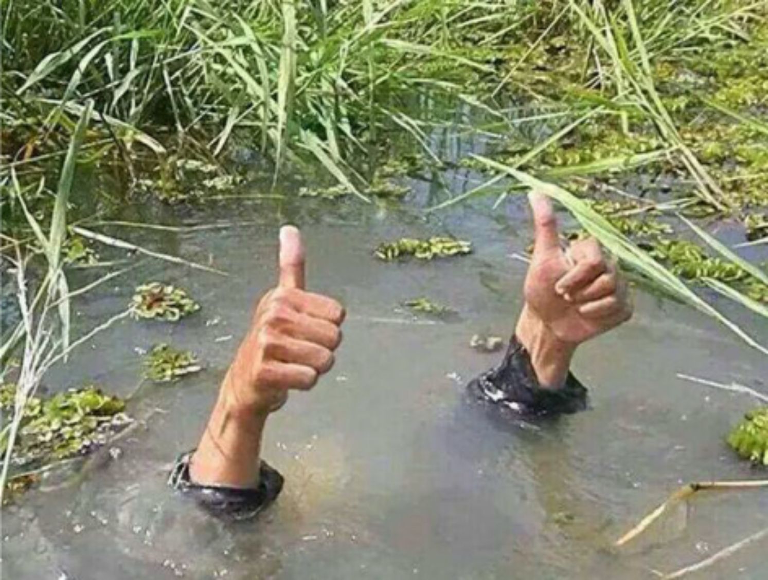 Drowning Thumbs Up  meme template
