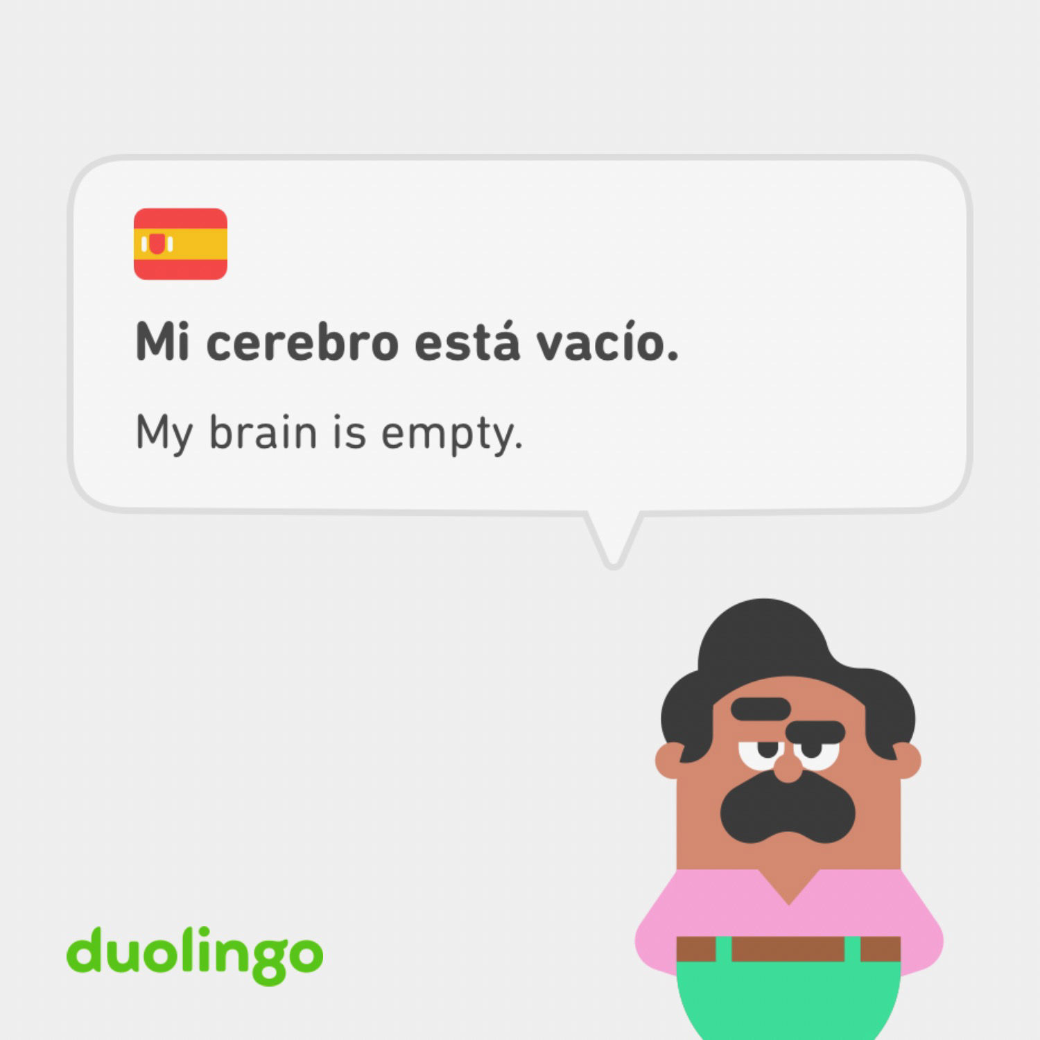 Duolingo My Brain Is Empty  meme template