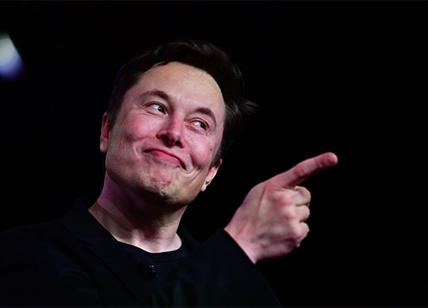 Elon musk  meme template