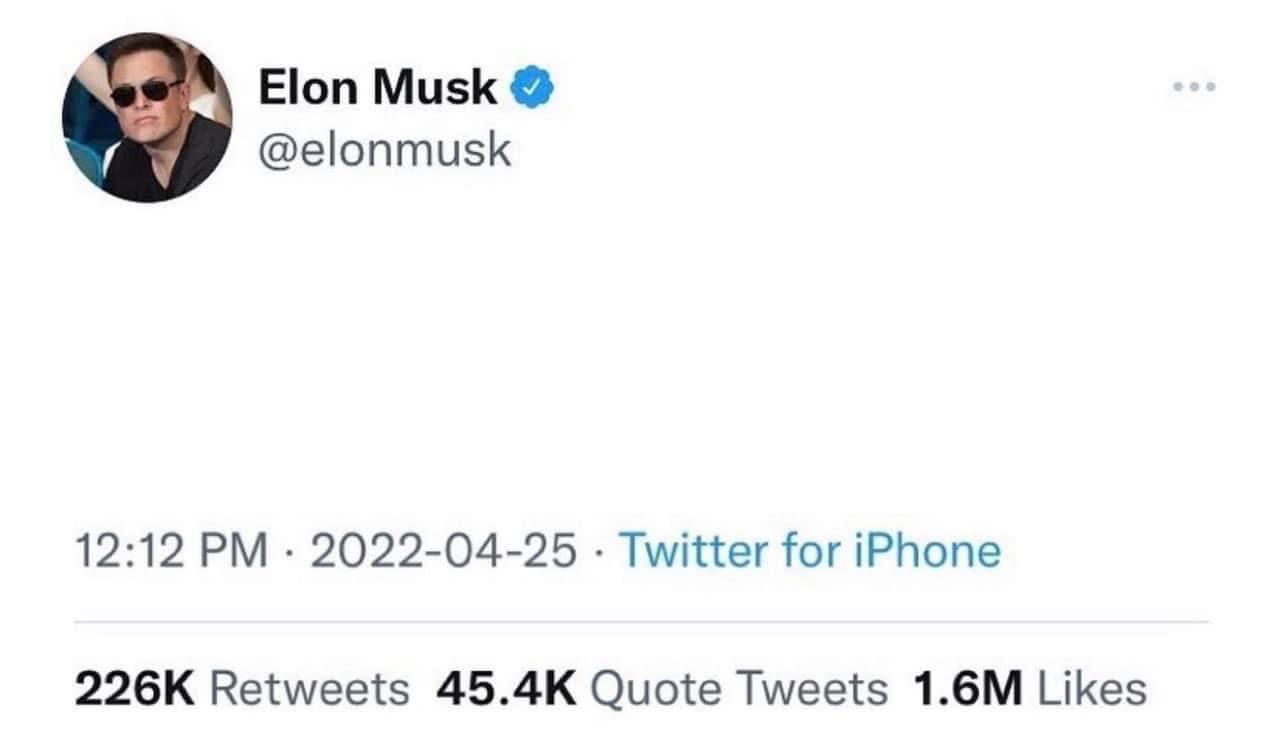Elon Musk Buying Twitter  meme template