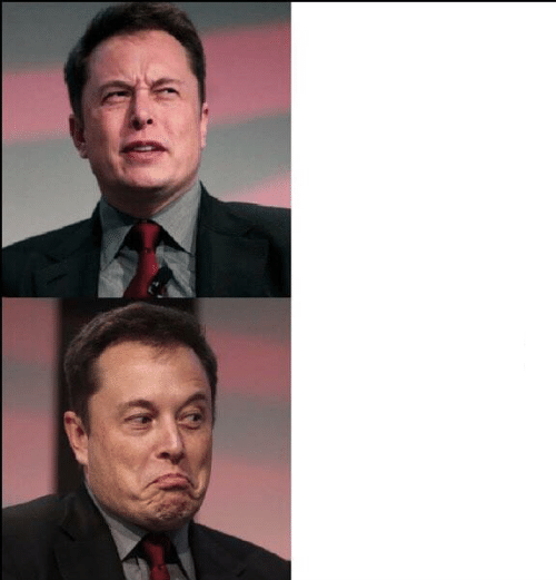 Elon Musk no maybe  meme template