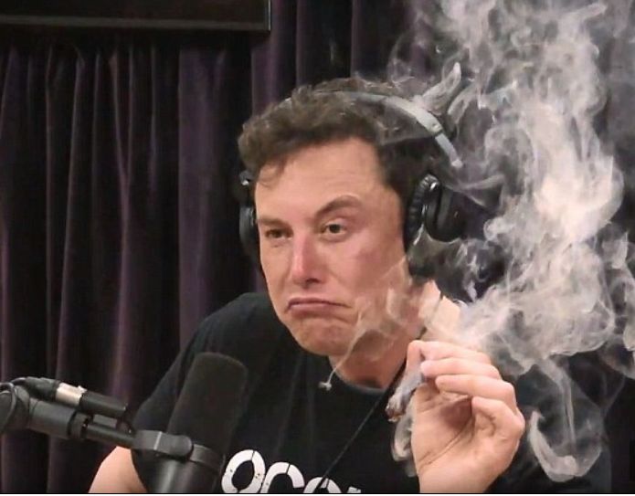 Elon Musk smoking a joint meme template
