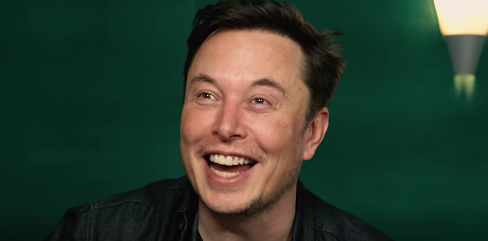 Elon's Dead Deer Gaffaw  meme template