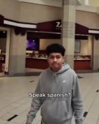 English or Spanish meme template