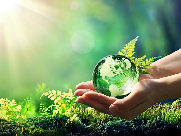 environment earth protect  meme template