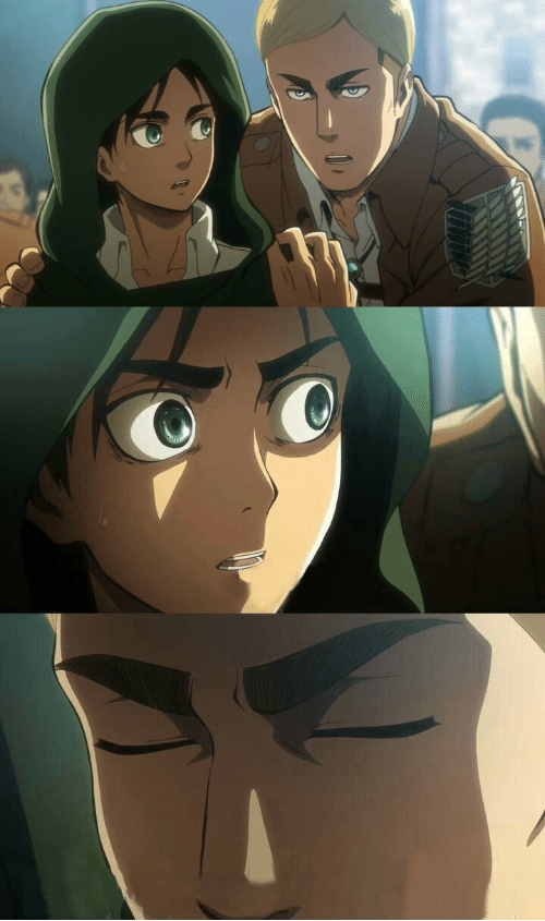 Erwin AOT  meme template