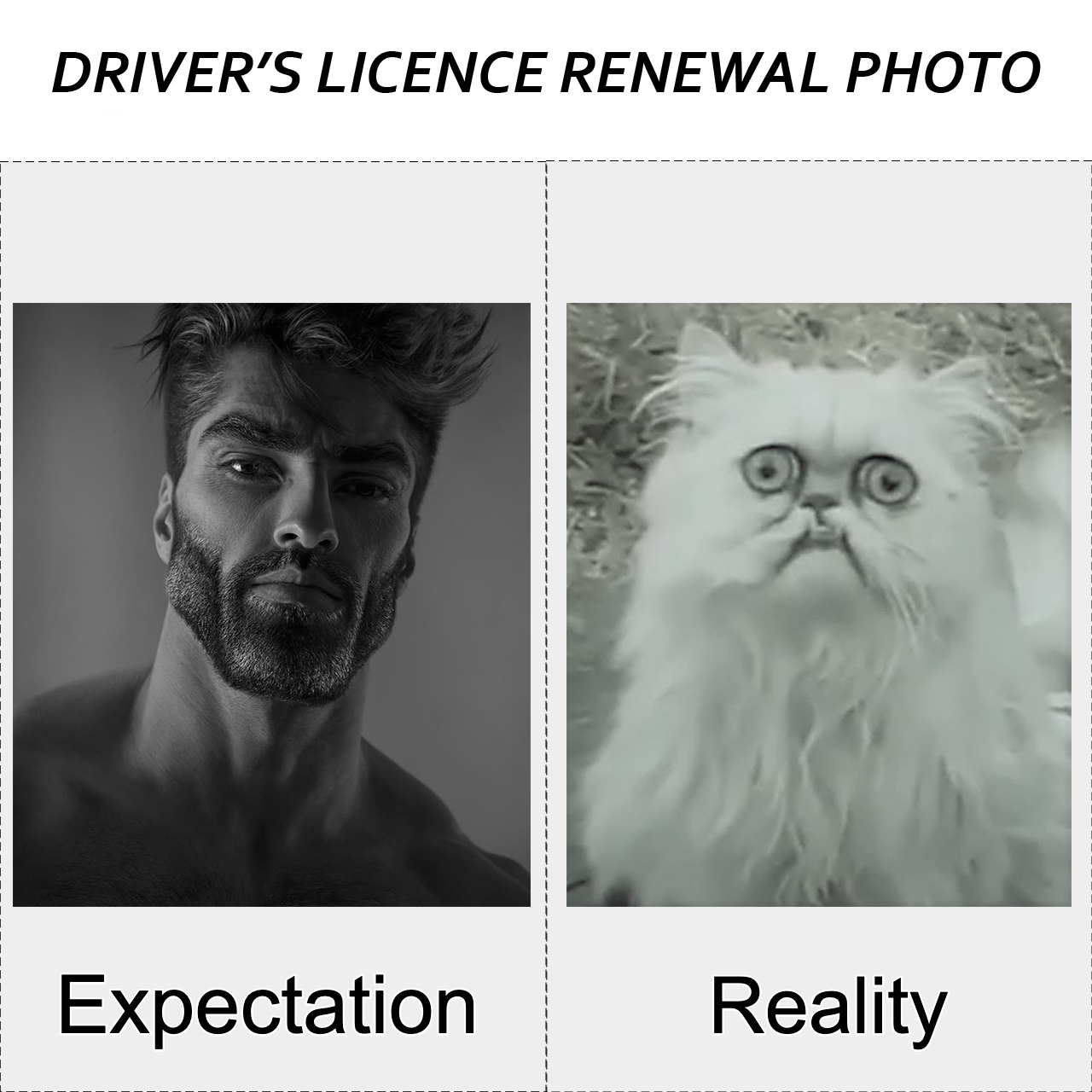 Expectation Reality  meme template