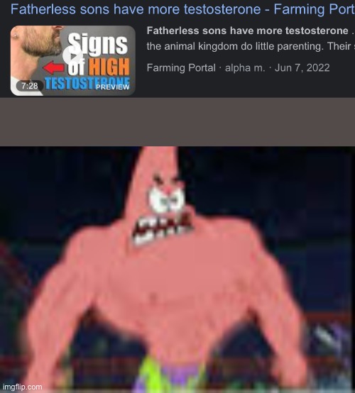 Fatherless sons have more testosterone  meme template