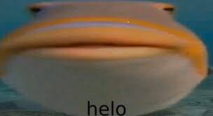 Fish Helo  meme template